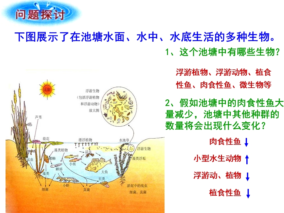 群落的基本特征与结构.ppt_第2页