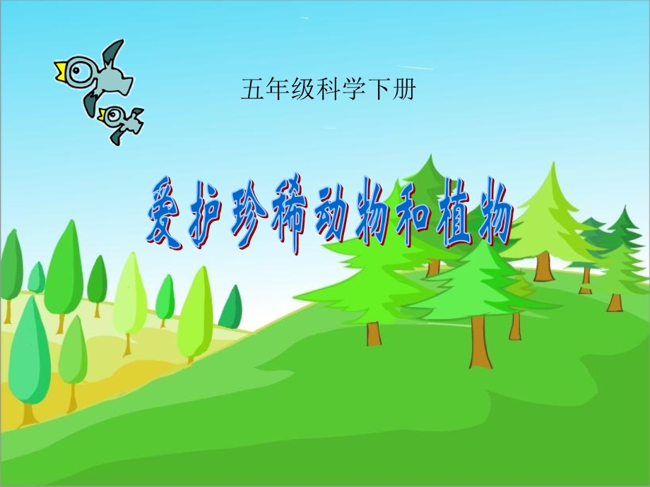 爱护珍惜动物和植物.ppt_第1页