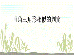 直角三角形相似的判定.ppt