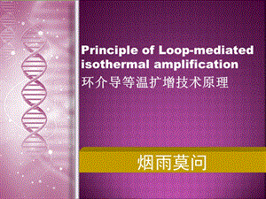 环介导等温扩增.ppt