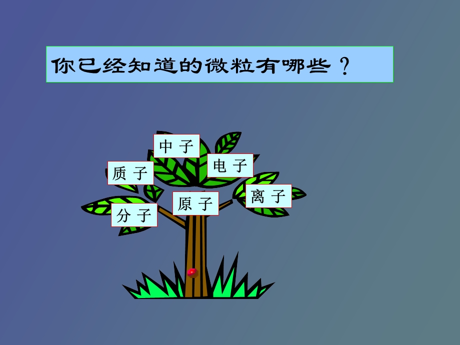 物质组成的表.ppt_第2页