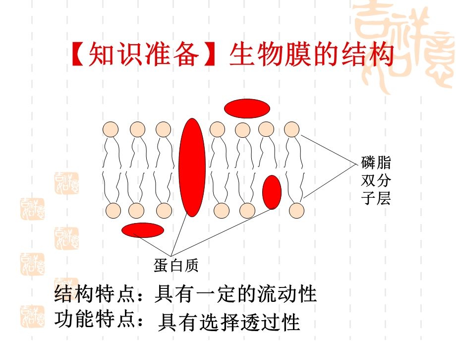 物质跨膜运输的方式公开课精品课件.ppt_第1页