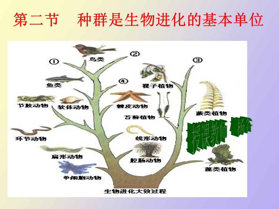 种群生物进化的基本单位.ppt_第2页