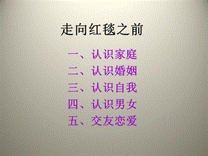 走向红毯之前.ppt