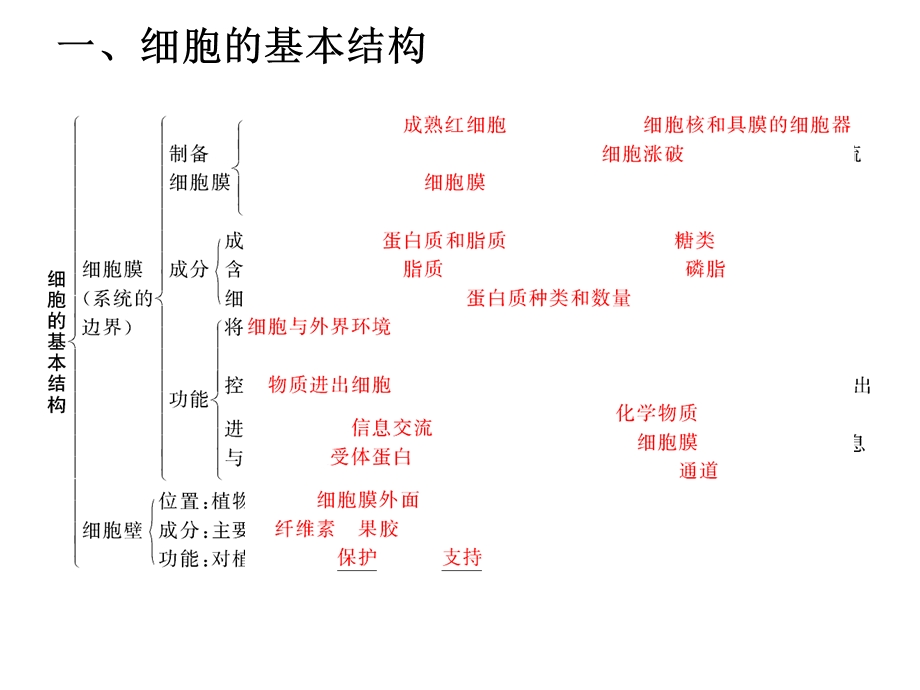 细胞结构知识框架.ppt_第1页