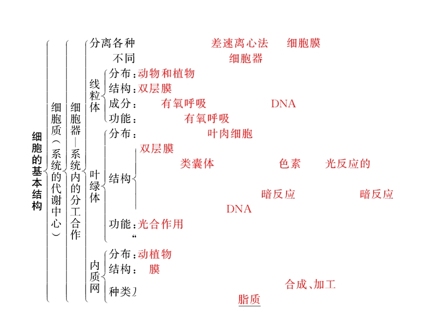 细胞结构知识框架.ppt_第2页