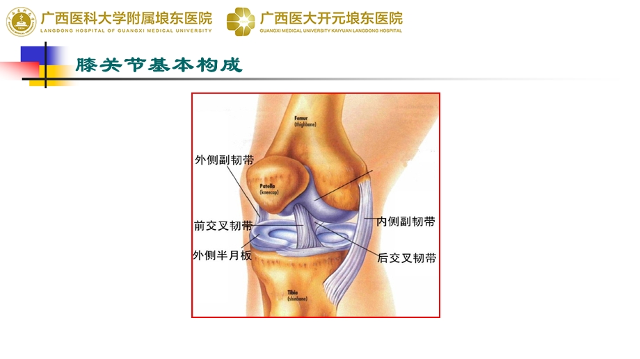 膝关节运动损伤的MRI诊断.ppt_第2页