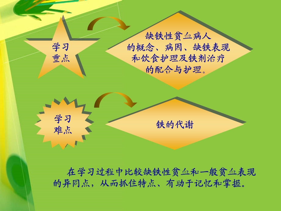 缺铁性贫血病人的护理.ppt_第2页