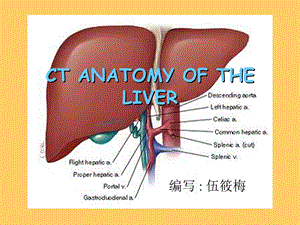 肝脏CT解剖图记忆.ppt