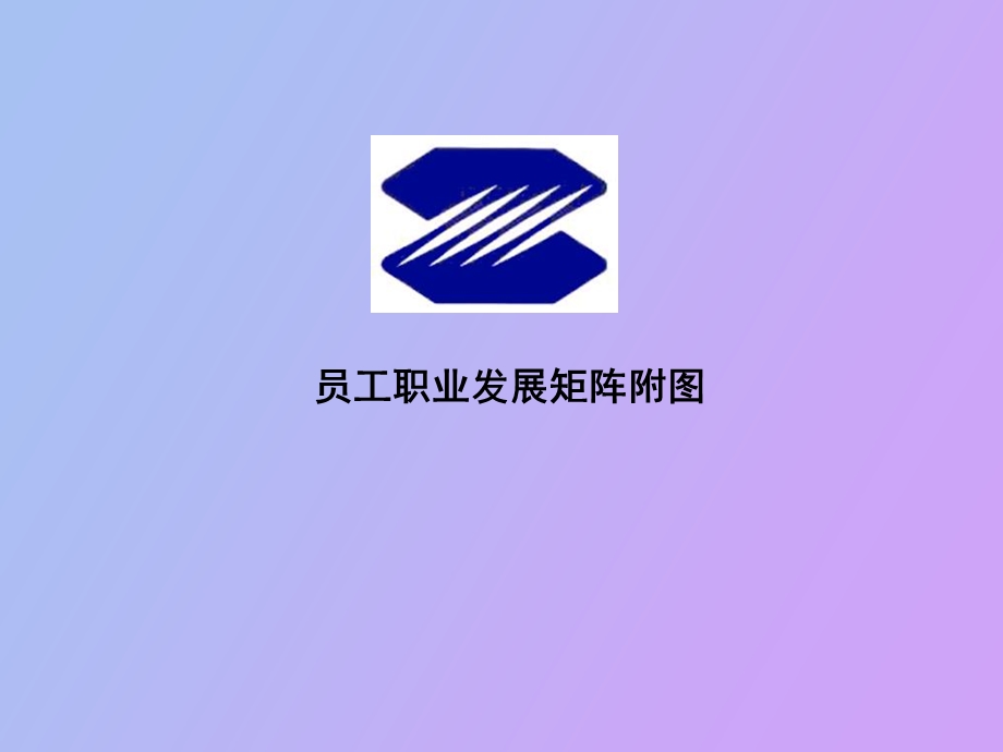 职业发展矩阵表.ppt_第1页