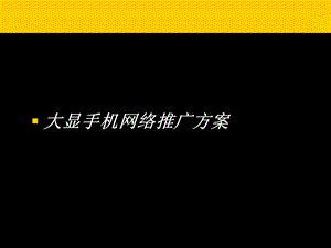 大显手机互联网营销推广方案.ppt