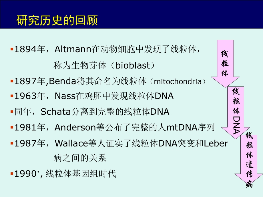 线粒体遗传病PPT.ppt_第2页