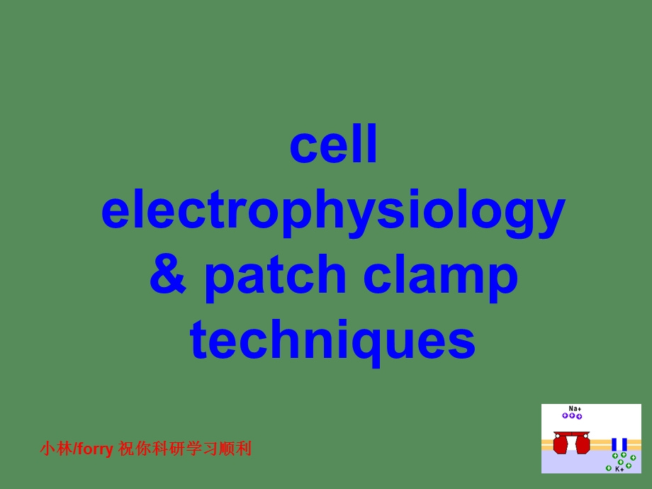 细胞电生理学与膜片钳技术.ppt_第1页