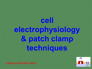 细胞电生理学与膜片钳技术.ppt