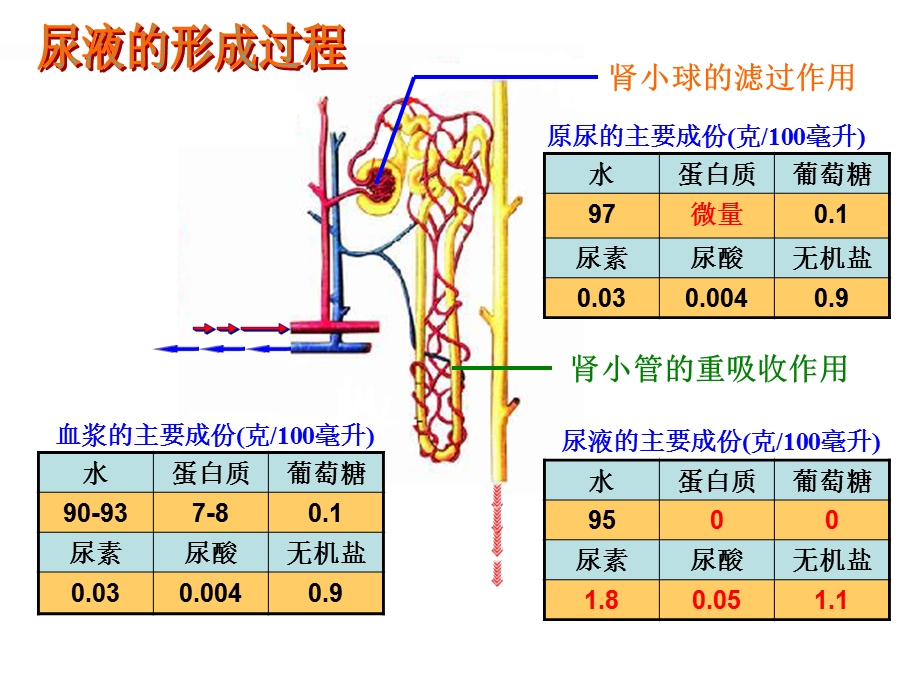 物质跨膜运输的方式psf.ppt_第1页