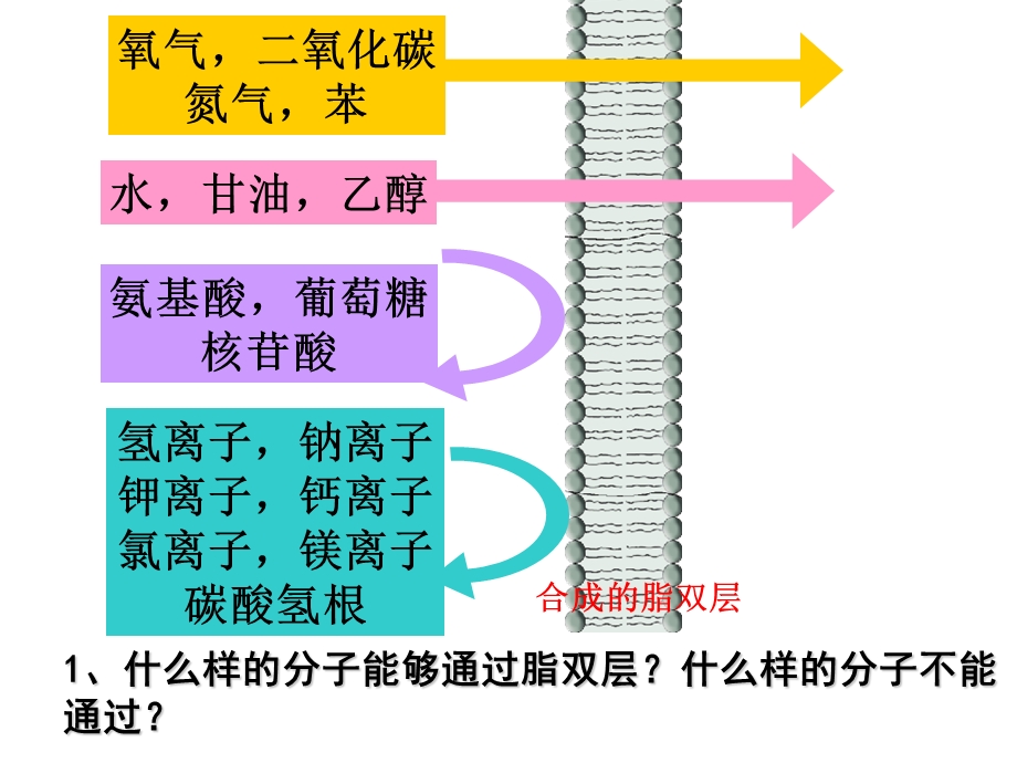 物质跨膜运输的方式psf.ppt_第2页