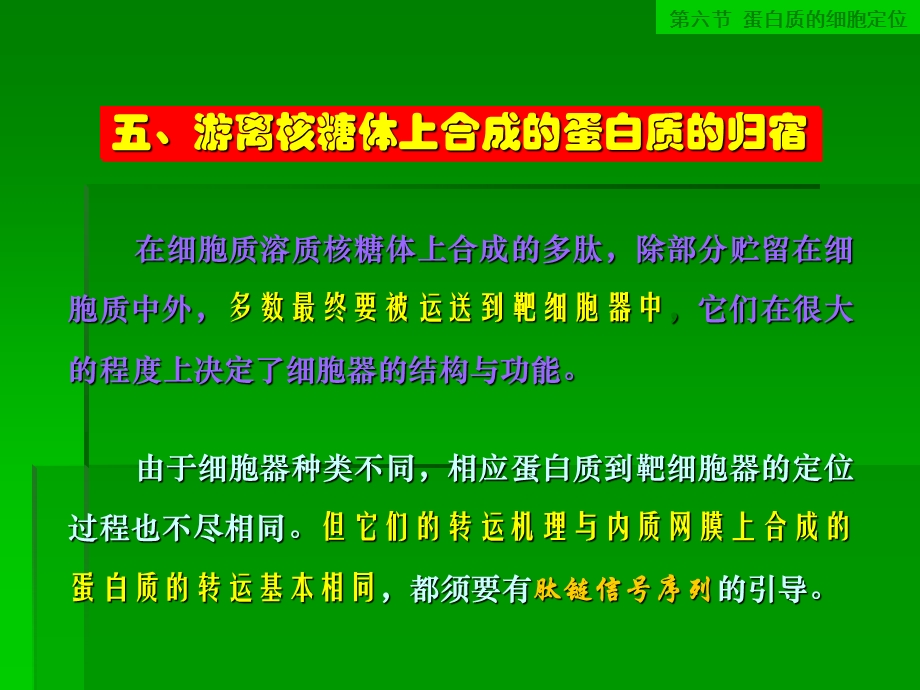 游离核糖体上合成的蛋白质的归宿.ppt_第1页