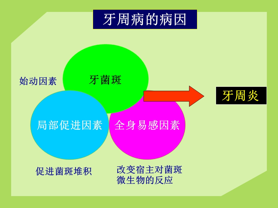 牙周病的全身因素和局部促进因素.ppt_第1页