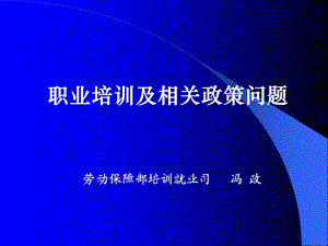 职业培训及相关政策问题.ppt