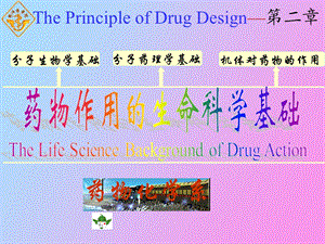 药物作用的生命科学基础医学.ppt