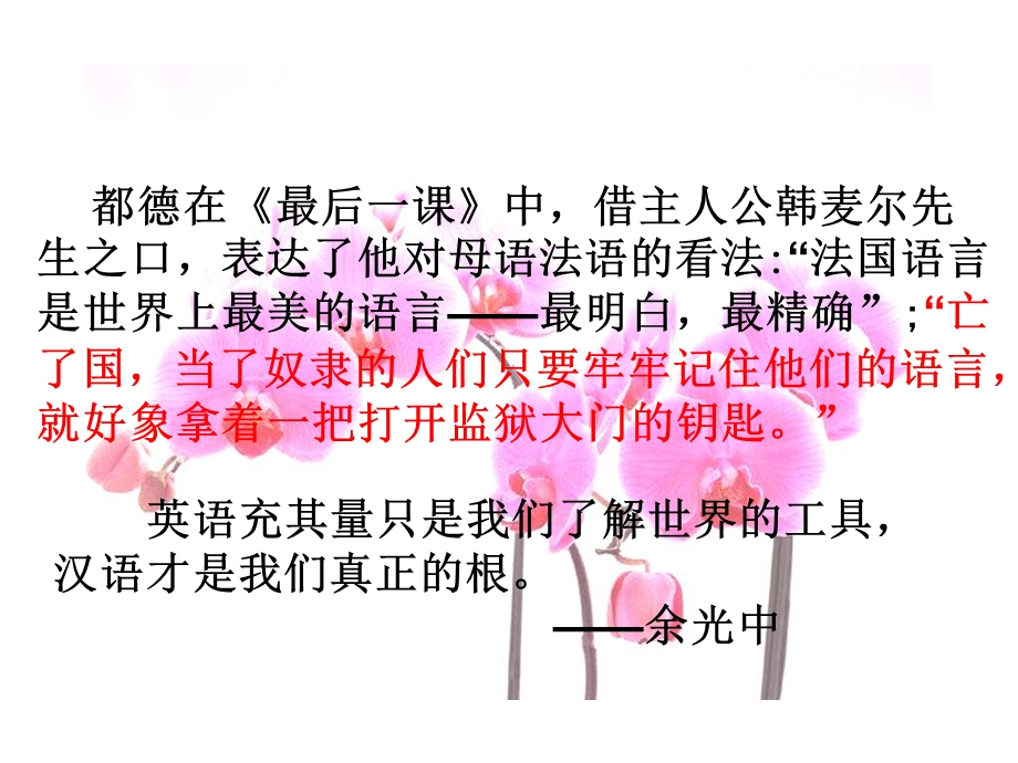 美丽而奇妙的语言.ppt_第1页