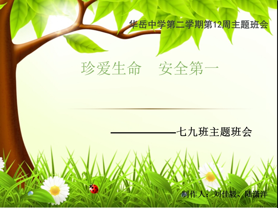 珍爱生命-安全第一课件.ppt_第1页