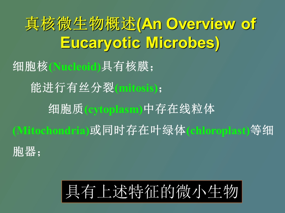 真核微生物本科.ppt_第2页