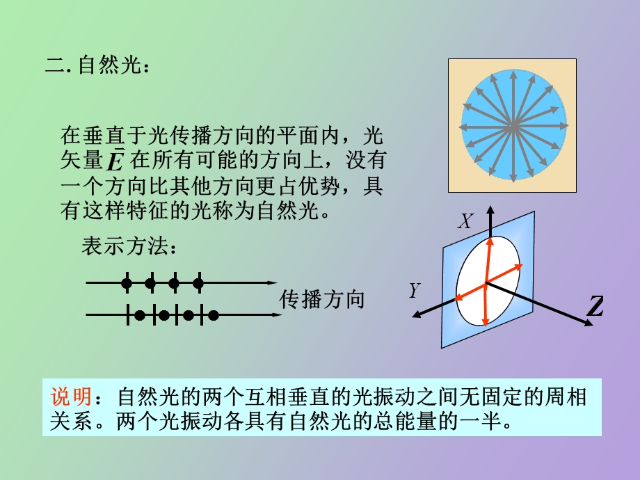 物理自感光和偏振光.ppt_第2页