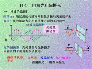 物理自感光和偏振光.ppt