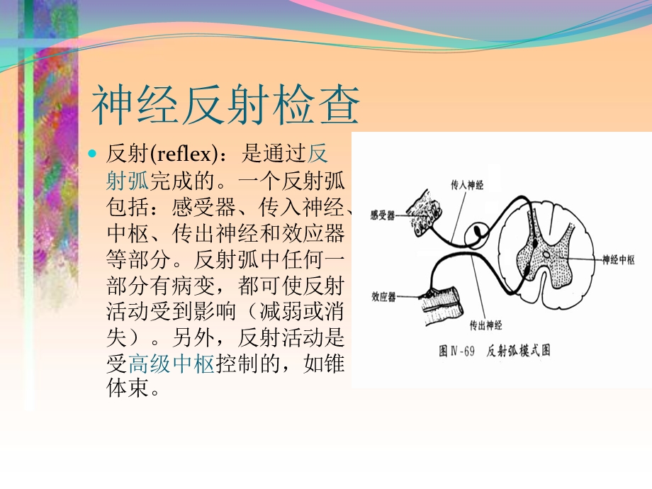 病理反射和脑膜刺激征.ppt_第2页