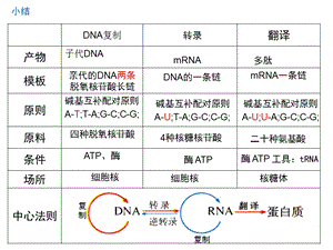 有丝与减数ppt课件.ppt