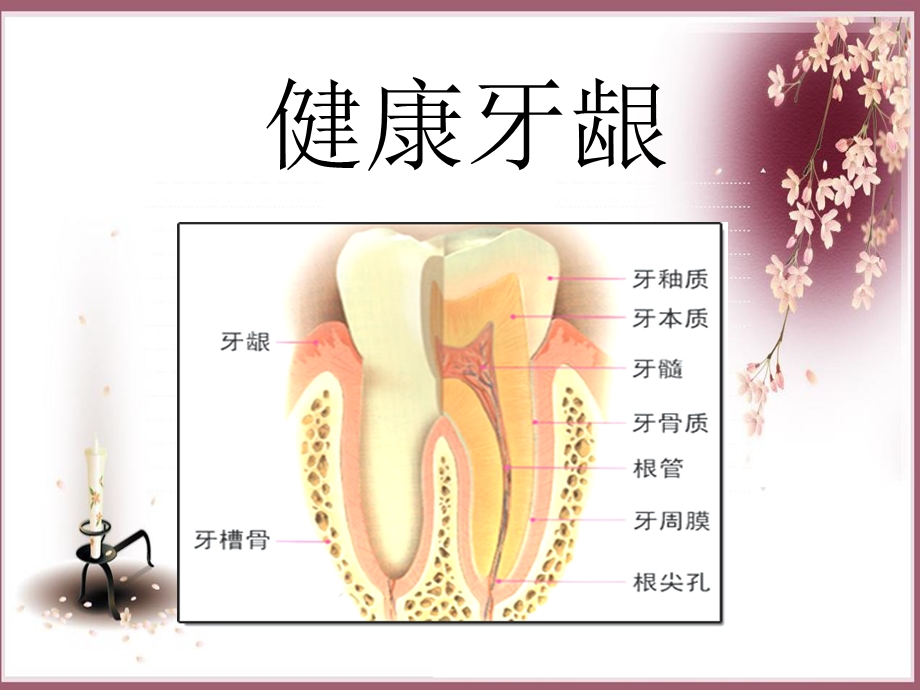 牙齿保健知识讲座ppt课件.ppt_第1页