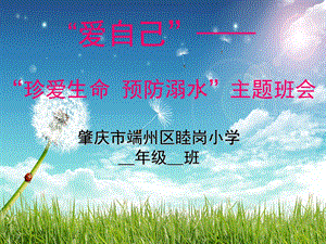 珍爱生命-预防溺水-主题班会课件.ppt