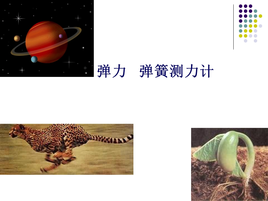 弹力和弹簧测力计.ppt_第2页