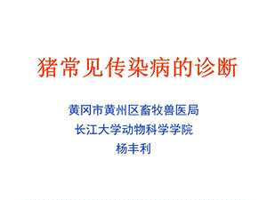 猪常见传染病的诊断.ppt