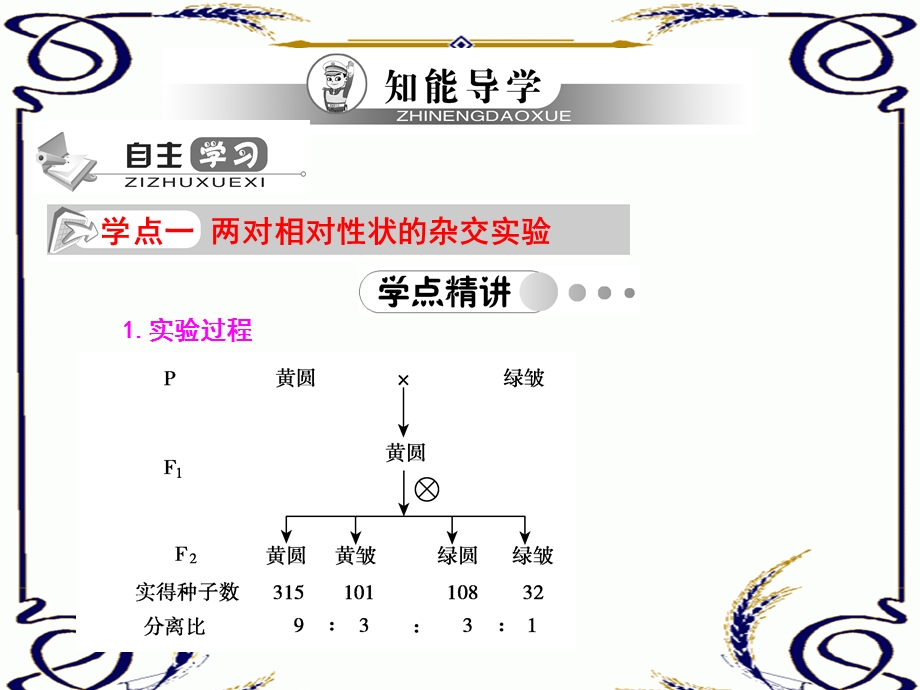 1.3孟德尔的豌豆杂交实验(二).ppt_第3页