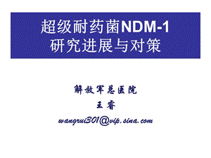 超级耐药菌NDM1研究进展与对策.ppt