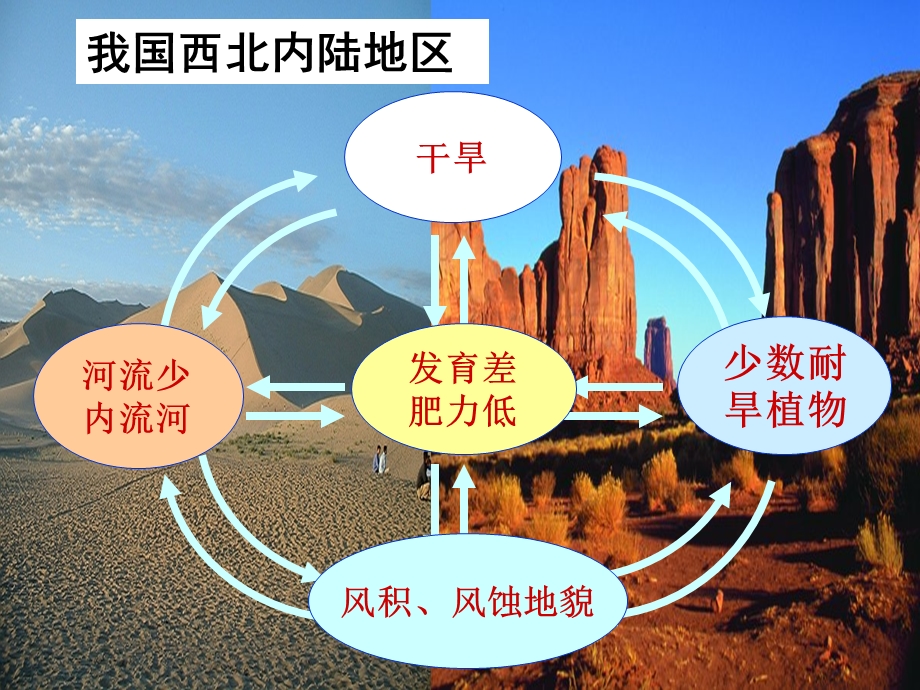 自然地理环境要素的整体性.ppt_第3页