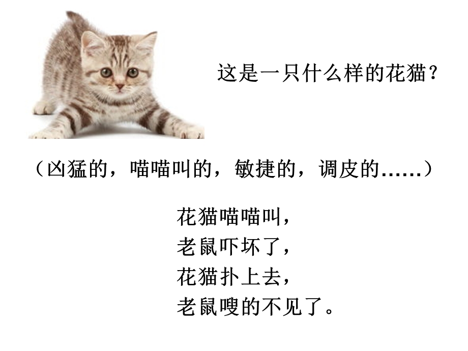 自制写话：猫和老鼠 1.ppt_第3页