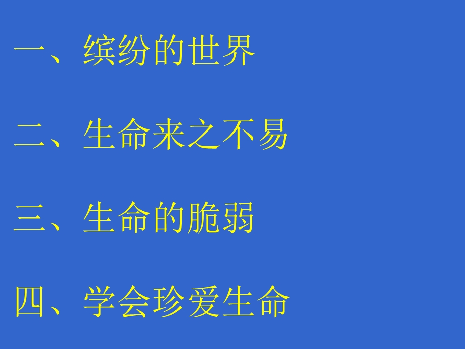 珍爱生命-健康成长主题班会课件.ppt_第3页