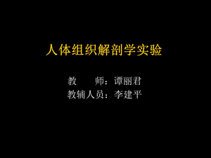 组织学一.ppt