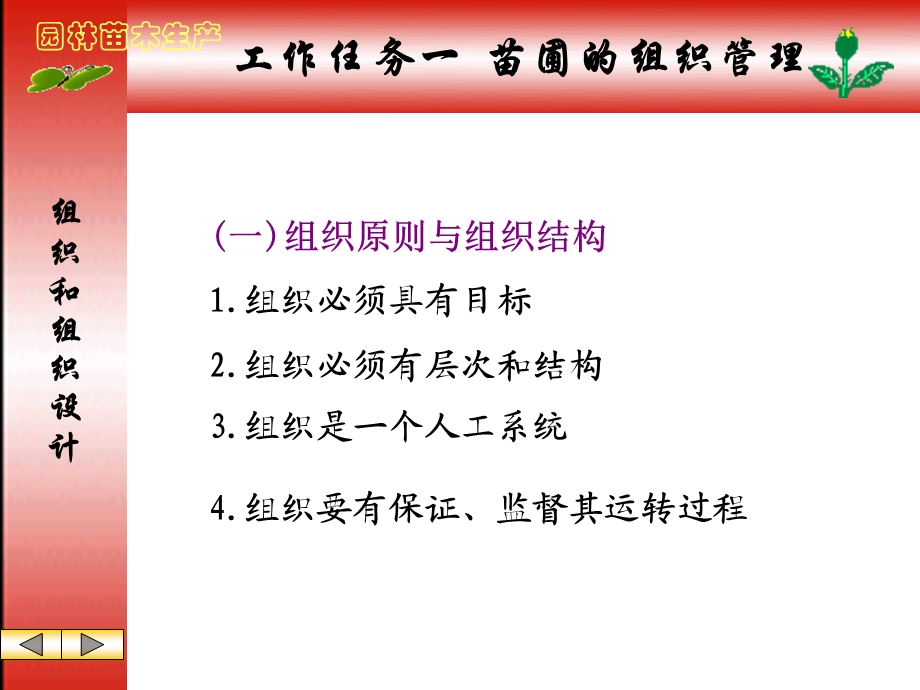 园林苗木生产.PPT_第3页