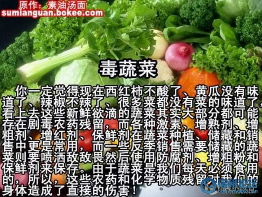 生物关注合理营养与食品安全.ppt_第3页