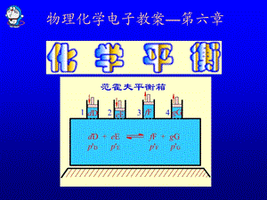 物理化学第六章化学平衡.ppt