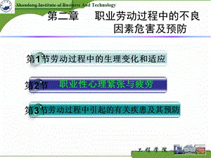 职业劳动过程中的不良因素危害及预防.ppt