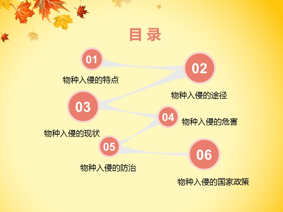 生态学物种入侵的危害.ppt_第2页