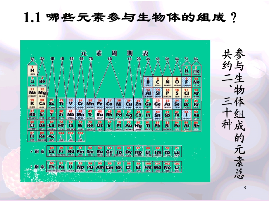 生命的化学基础和基本单位.ppt_第3页