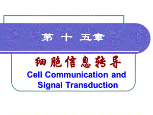 细胞信号转导116和.ppt