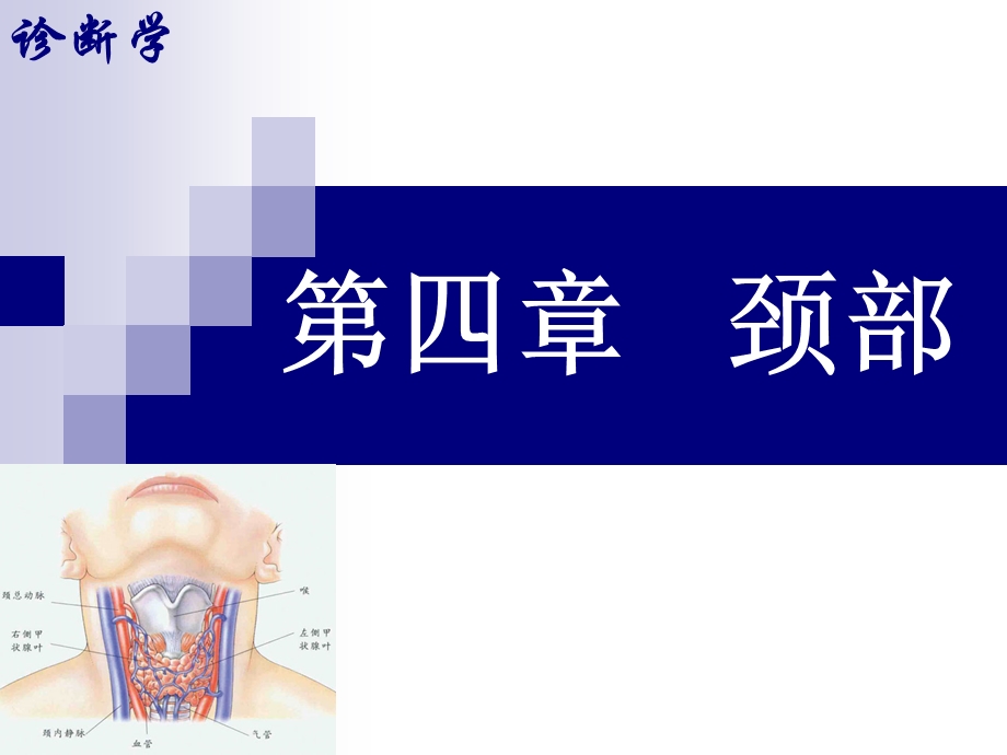 第四章 颈部.ppt_第1页