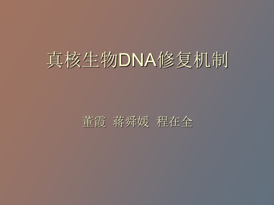 真核生物DNA修复机制董霞蒋舜媛程在全.ppt_第1页